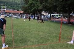 Schulfest_2025-71